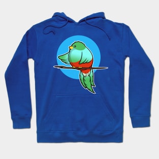 Cute Resplendent Quetzal Hoodie